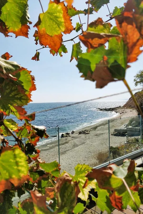 Beach Villa Varna - Cosiness 4 Meters From The Sea